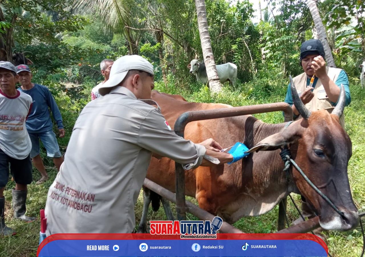 Dokumentasi Pelayanan Kesehatan Hewan 2024