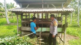 Foto Saat pemilik ternak menunjukan lokasi kandang