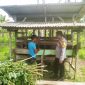 Foto Saat pemilik ternak menunjukan lokasi kandang