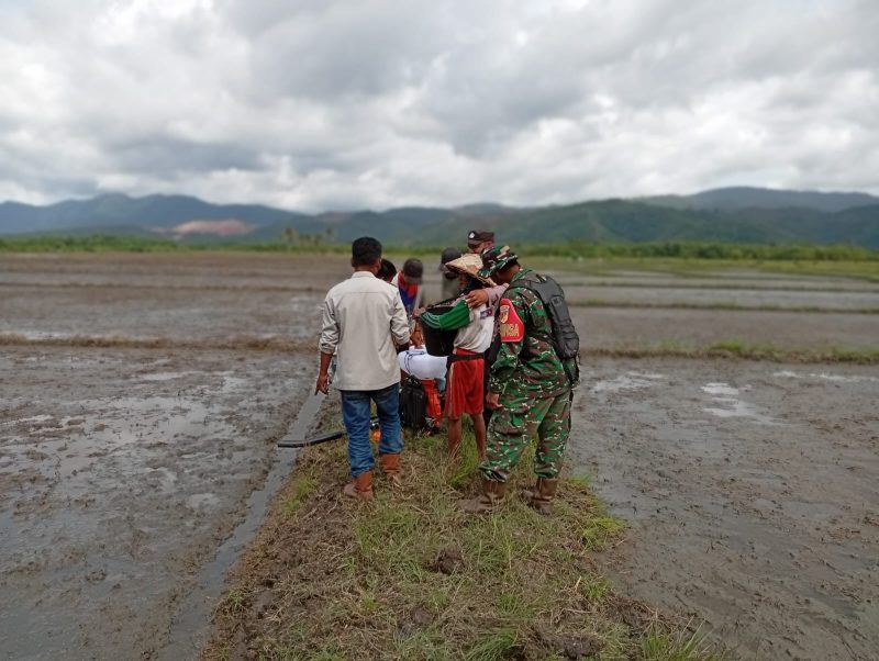 Foto Babinsa lakukan pendampingan petani
