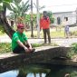Bupati Buol, Risharyudi Triwibowo turun langsung meninjau pembersihan Eceng Gondok Kompleks Saluran Kanal Kali, Buol, Minggu (16/3/2025).