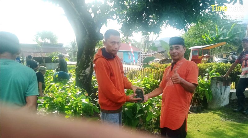 emdes Tadoy 1 Salurkan Bantuan Program Ketapang 5000 Bibit Kakao dan Jagung Hibrida