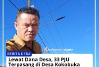 Lewat Dana Desa, 33 Unit PJU Terpasang di Desa Kokobuka