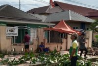 DHL Pangkas Sejumlah Pohon Rimbun, Sabtu (10/5/2025).