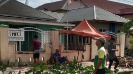 DHL Pangkas Sejumlah Pohon Rimbun, Sabtu (10/5/2025).