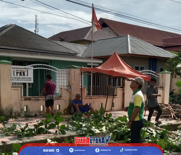 DHL Pangkas Sejumlah Pohon Rimbun, Sabtu (10/5/2025).