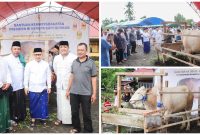 Foto tampak Bupati Banggai Di dampingi Kadis peternakan serahkan bantuan sapi kepada masyarakat