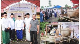 Foto tampak Bupati Banggai Di dampingi Kadis peternakan serahkan bantuan sapi kepada masyarakat