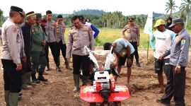 Polres Buol dan Pemda Kolaborasi Tanam Jagung Serentak Dukung 