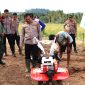 Polres Buol dan Pemda Kolaborasi Tanam Jagung Serentak Dukung 