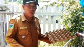 Camat Paleleh, Lukman Djupandang,S.Pt (Foto:Ist)