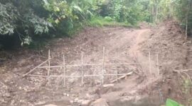 Lahan perkebunan milik Popi Ganda yang dirusak untuk dijadikan akses jalan