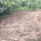 Lahan perkebunan milik Popi Ganda yang dirusak untuk dijadikan akses jalan