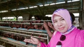 Ketua Fraksi PDI Perjuangan DPRD Bolmong Kunjungi Kandang Ayam Petelur Milik Legislator Gorontalo