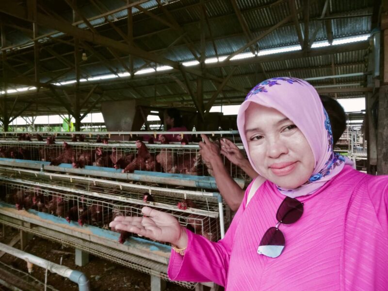 Ketua Fraksi PDI Perjuangan DPRD Bolmong Kunjungi Kandang Ayam Petelur Milik Legislator Gorontalo