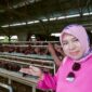 Ketua Fraksi PDI Perjuangan DPRD Bolmong Kunjungi Kandang Ayam Petelur Milik Legislator Gorontalo