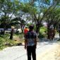 DLH Buol Tebang Pohon di Sepanjang Kanal Kali, Siapkan Penataan Ruang Hijau dan Eko Wisata