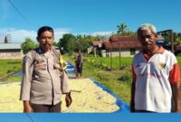 Bhabinkamtibmas Desa Modo Turun Langsung Mendata Hasil Panen Jagung