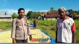 Bhabinkamtibmas Desa Modo Turun Langsung Mendata Hasil Panen Jagung
