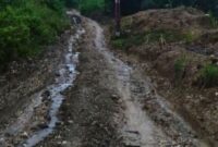 Kondisi Akses jalan perekbunan di desa Doamayo, Kec.Bokat.