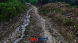 Kondisi Akses jalan perekbunan di desa Doamayo, Kec.Bokat.