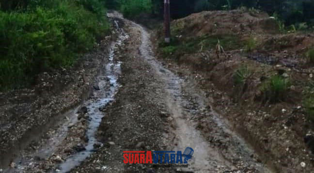 Kondisi Akses jalan perekbunan di desa Doamayo, Kec.Bokat.