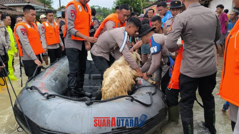 Kapolres OKU Timur Turun Langsung Tinjau Korban Banjir, Berikan Bantuan dan Bantu Evakuasi di Desa Nusajaya