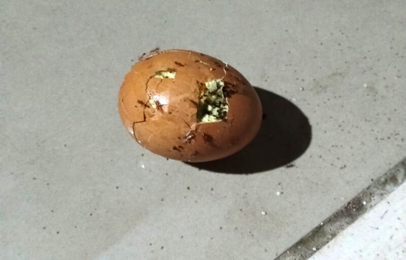 Menu Telur Diduga Busuk Makanan Program MBG di SDN 2 Bokat Dikeluhkan (Foto Martinus SU)
