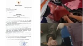 foto istimewa : Serat Edaran Bupati banggai dan Para kendaraan yang tabrak sapi serta pengendara motor tabrak anjing 