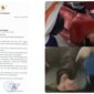 foto istimewa : Serat Edaran Bupati banggai dan Para kendaraan yang tabrak sapi serta pengendara motor tabrak anjing 