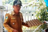 Lukman Djupandang )Camat Paleleh)