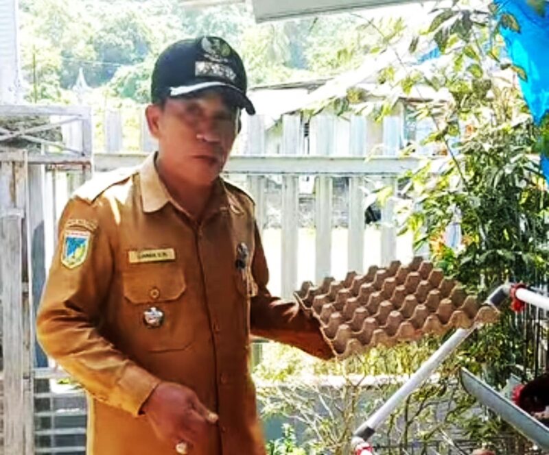 Lukman Djupandang )Camat Paleleh)