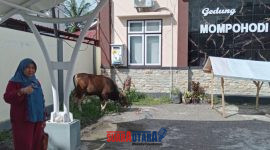 foto istimewa : Staf dari Inspektorat serta  Salah satu Hewan Kurban yang akan di sembelih di halaman kantor