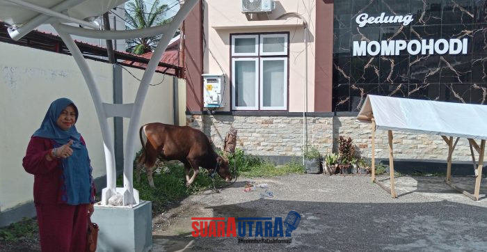 foto istimewa : Staf dari Inspektorat serta  Salah satu Hewan Kurban yang akan di sembelih di halaman kantor