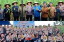 foto istimewa : Kapolres Banggai AKBP Wayan Langsung ikut Panen raya jagung dan berikan apresiasi pada petani di toili atas ketekunan dana menanam jagung