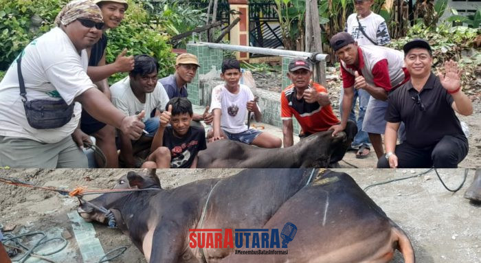 foto istimewa : Lurah Karaton Ronal Reppy saksikan Salah satu hewan Kurban yang di sembelih di halaman masjid kelurahan karaton
