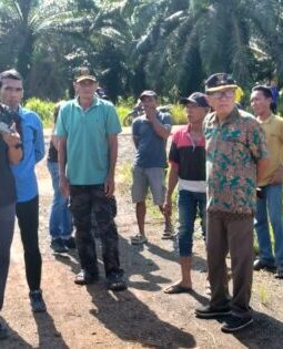 berita-rekomendasi-foto