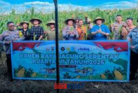 foto istimewa Dokumen :  Humas Polres banggai Saat Panen raya Dukungan Swasembada Pangan Nasional 2026 