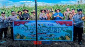 foto istimewa Dokumen :  Humas Polres banggai Saat Panen raya Dukungan Swasembada Pangan Nasional 2026 
