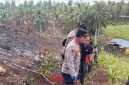 foto istimewa : Kapolresta Banggai Kombes Pol Hendri Yulianto.S.I.K.M.H dan Beberapa pJU ikut dalam pemadaman api