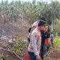 foto istimewa : Kapolresta Banggai Kombes Pol Hendri Yulianto.S.I.K.M.H dan Beberapa pJU ikut dalam pemadaman api 