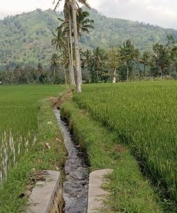 berita-rekomendasi-foto