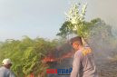 foto istimewa : Saat Anggota polsek Nuhon bersama Warga padamkan Api