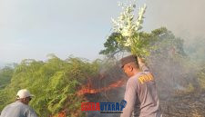 foto istimewa : Saat Anggota polsek Nuhon bersama Warga padamkan Api