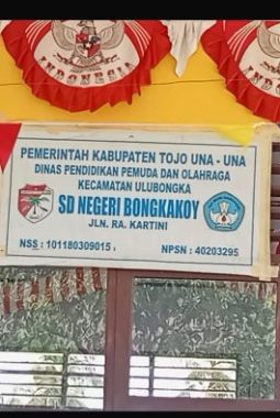 berita-rekomendasi-foto