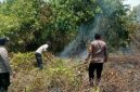foto istimewa : Kapolsek Toili langsung turun padamkan Api di lopon
