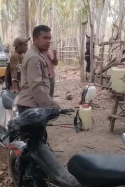 berita-rekomendasi-foto