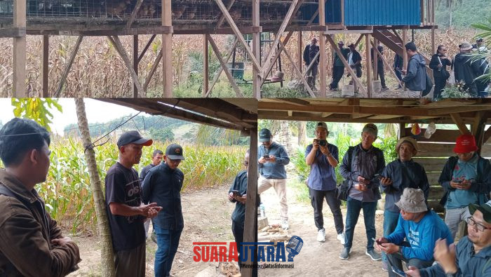 foto istimewa : Saat Para Jurnalis dari berbagai Media di banggai Bersama Pertamina EP DMF lakukan kunjungan di dua tempat Petani dan Penernak Binaan nya desa kayoa