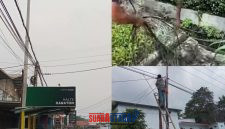 foto istimewa : Tampak banyaknya Kabel yang semberaut di dalam kota luwuk tanpa ada tindakan merapikan