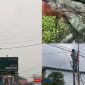 foto istimewa : Tampak banyaknya Kabel yang semberaut di dalam kota luwuk tanpa ada tindakan merapikan 